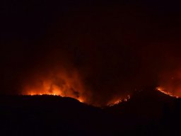 IMG-20170620-WA0011